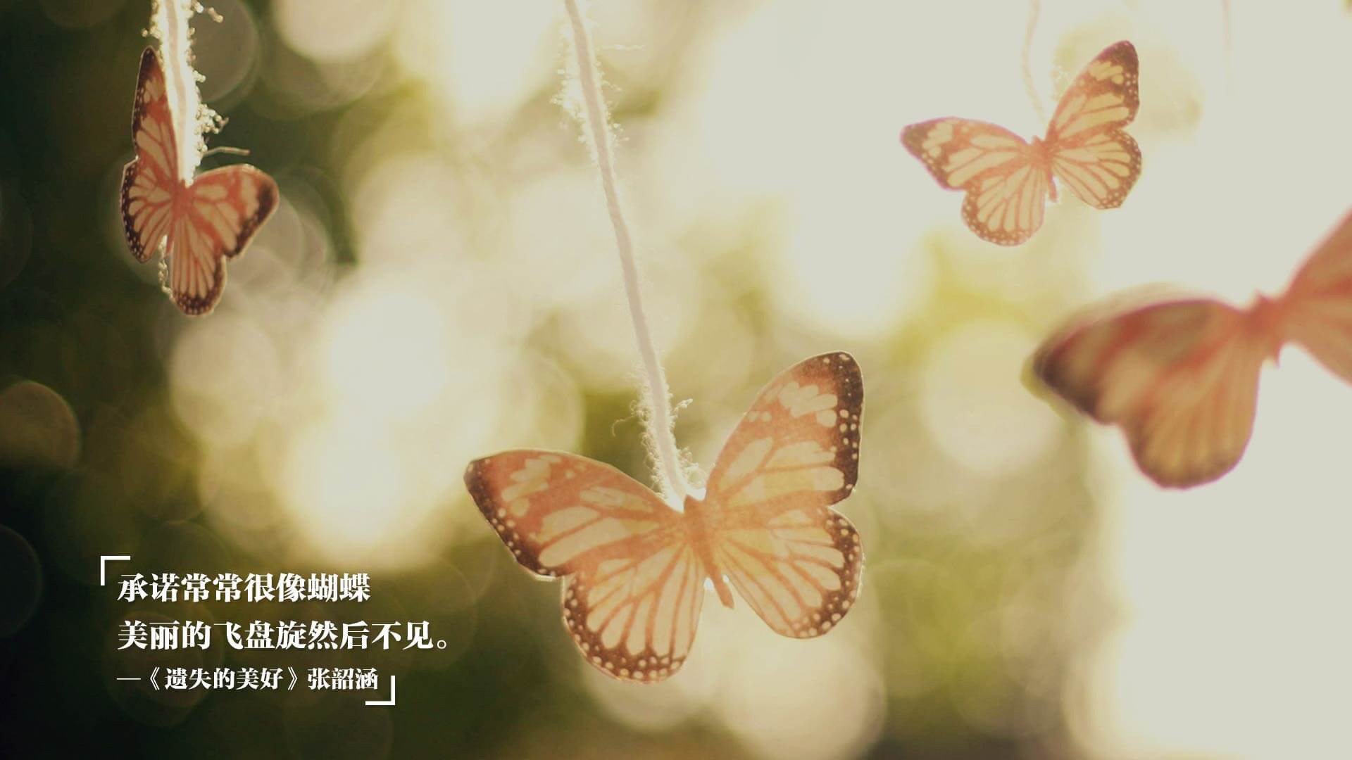 下载开云-_国际马拉松跑者聚会:血脉喷张的赛场盛事_,国际马拉松比赛视频