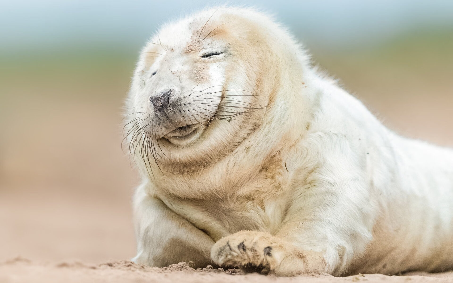 kaiyun sports-“意甲追冠战：多支球队死拼，胜负难料”，意甲争冠