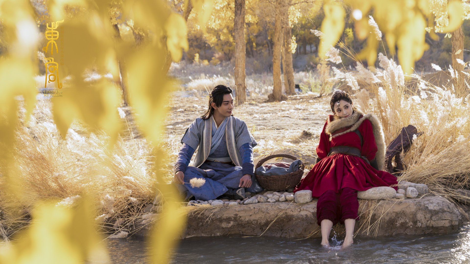 kaiyun sports-德国男子排球队在四分之一决赛中惜败巴西队,德国男排二传