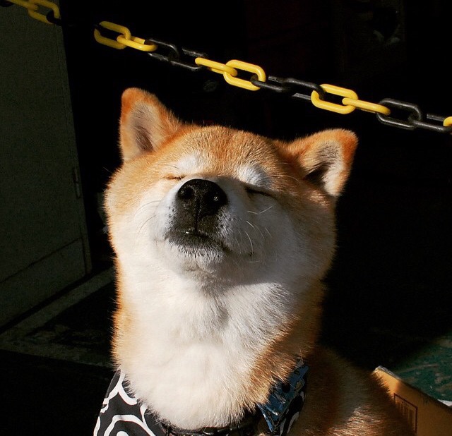 开云体育官方网站-《快船替补席贡献有限，球队深度成疑》