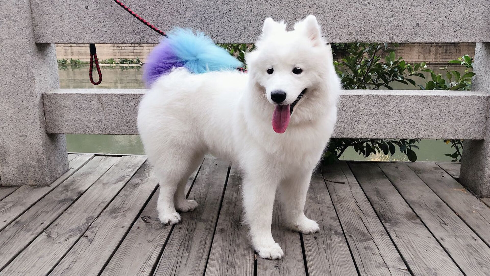 开云体育手机版-快船翻盘公牛，全明星赛前哨战中乔治贡献关键助攻，快船乔治打什么位置