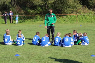 开云体育官网-德甲球队构建战术模拟平台辅助赛中调整，德甲模式