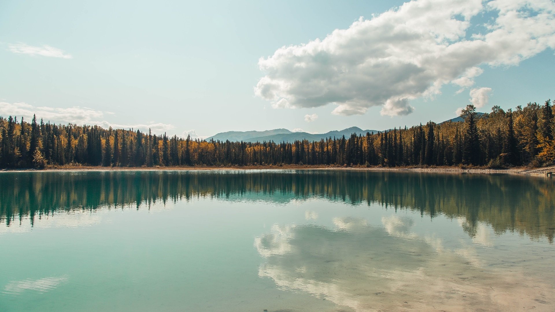 开云-中国女篮培养具备组织能力的锋线球员,中国女子篮球队中锋