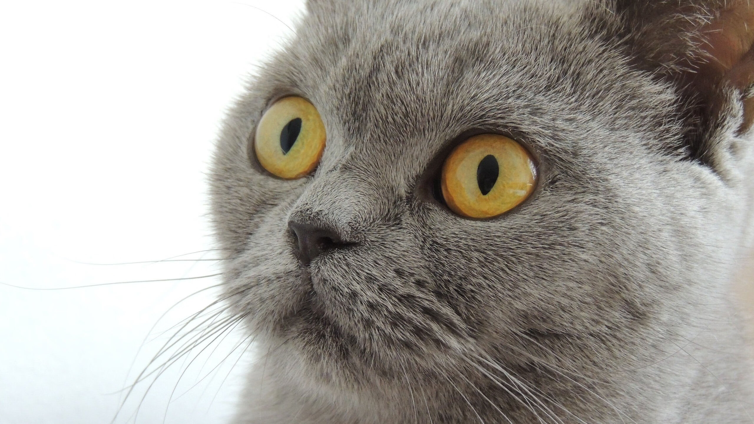 开云投注-体育新闻中心开展体育内容创作职业培训项目,体育新闻中心开展体育内容创作职业培训项目有哪些