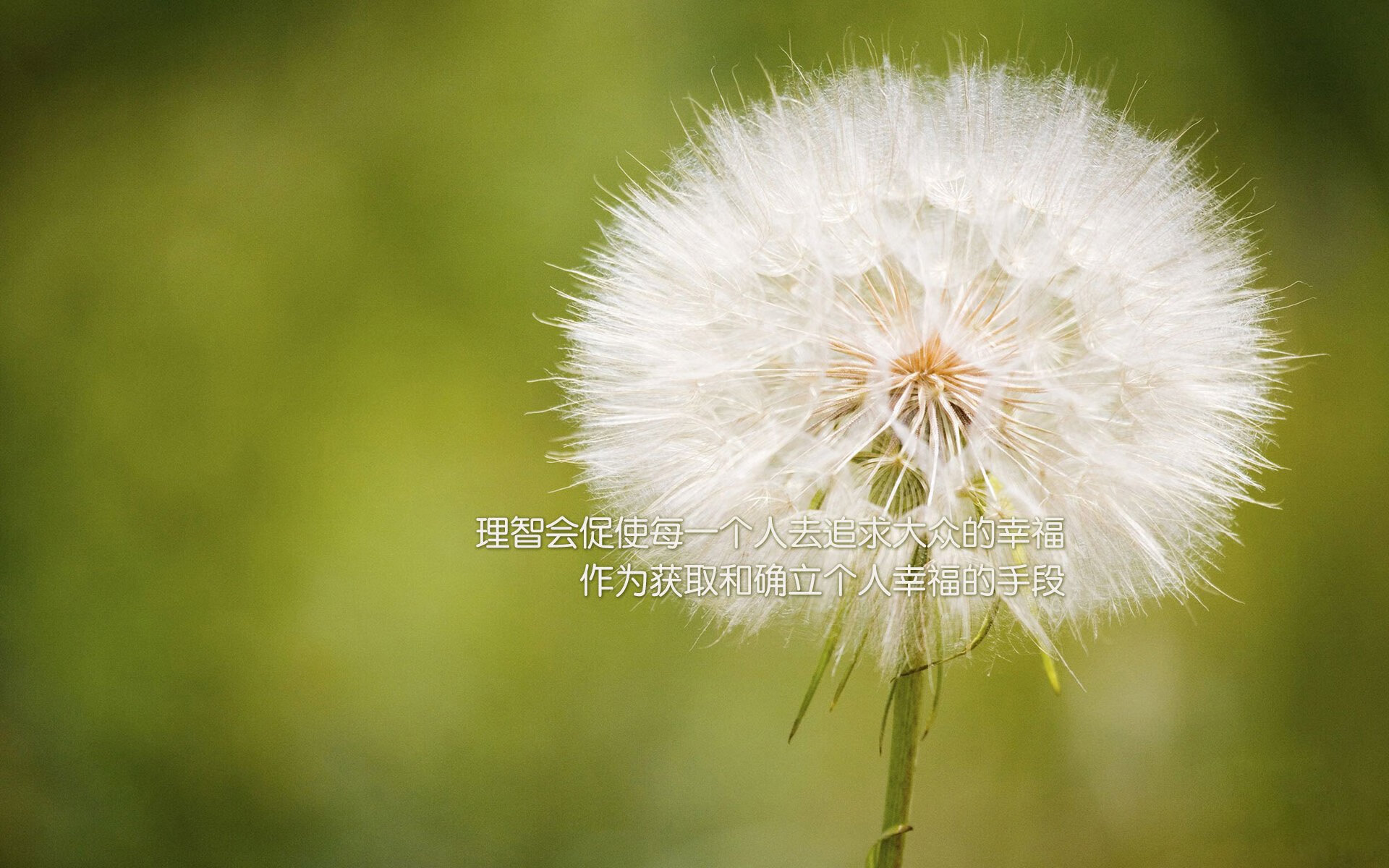 开云体育下载网页版-体育新闻中心开展体育传媒数字技能人才培养计划,体育培训数字化