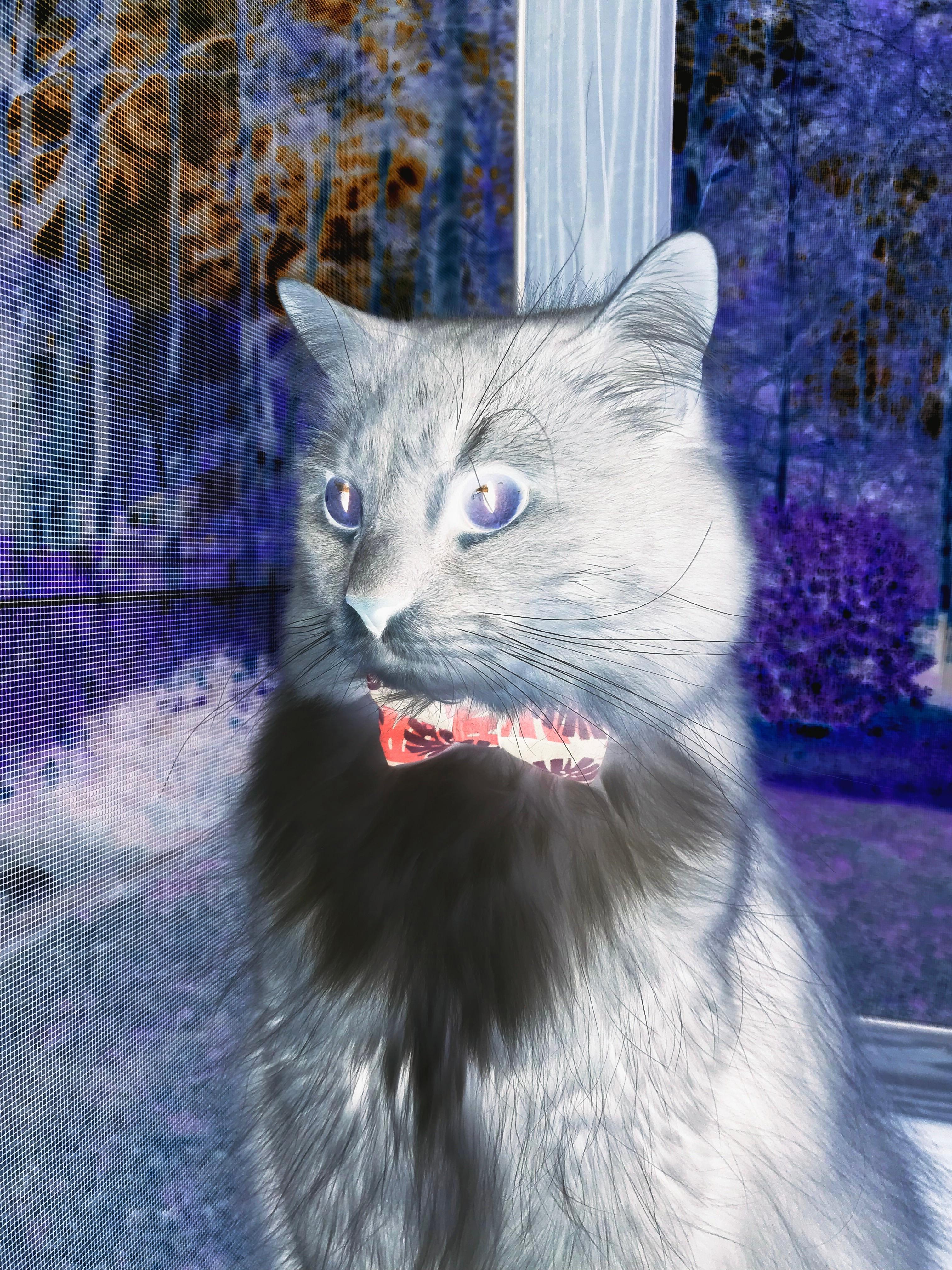 开云体育下载APP-国际乒联混合团体世界杯赛制剖析:德国队的应对之策,2020国际乒联团体世界杯